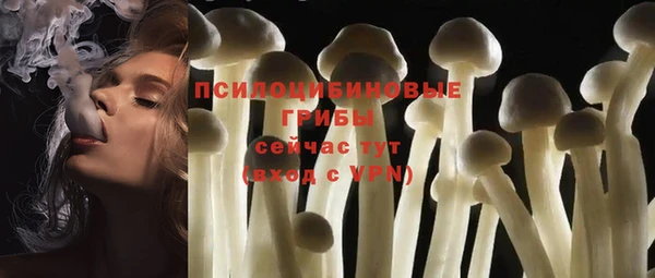 прущий лед Барнаул